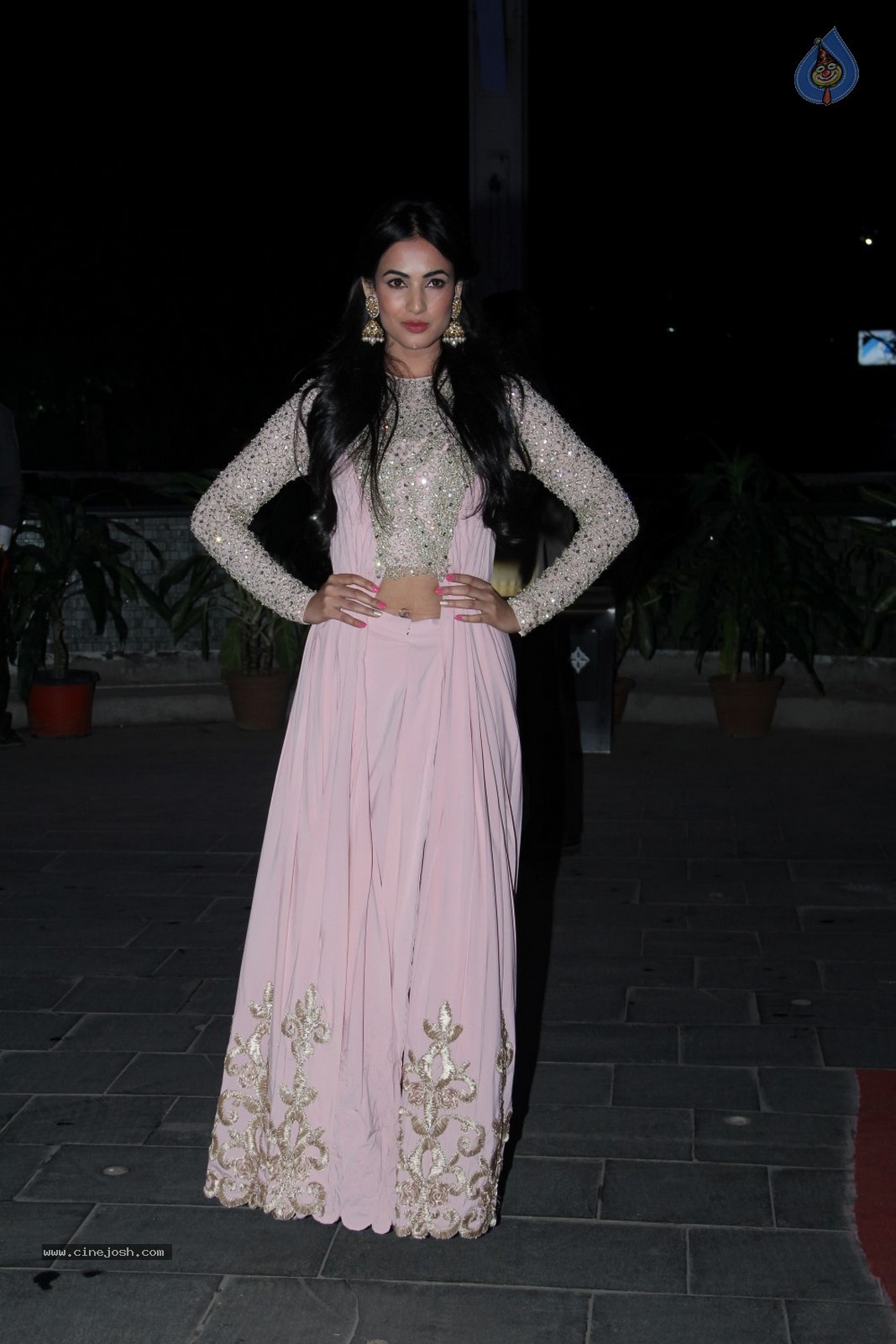 Bhushan Kumar Sister Tulasi Kumar Wedding Reception 01 - 40 / 121 photos