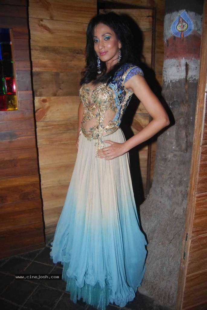 Blenders Pride Punjab Fashion Week Launch Event - 49 / 49 photos