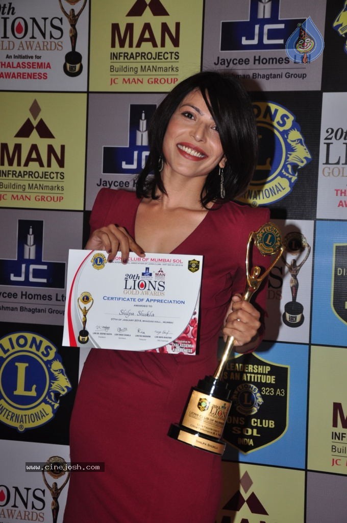 Bolly Celebs at 20th LIONS GOLD Awards - 6 / 37 photos