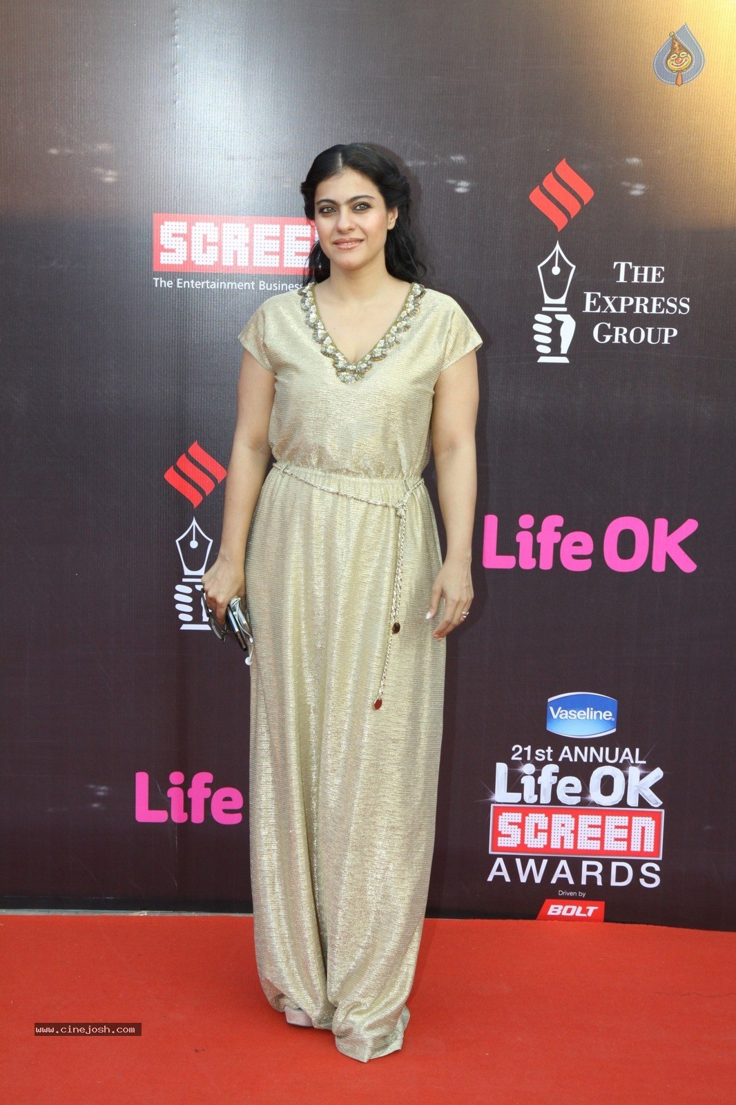 Bolly Celebs at 21st Life OK Screen Awards 01 - 2 / 78 photos