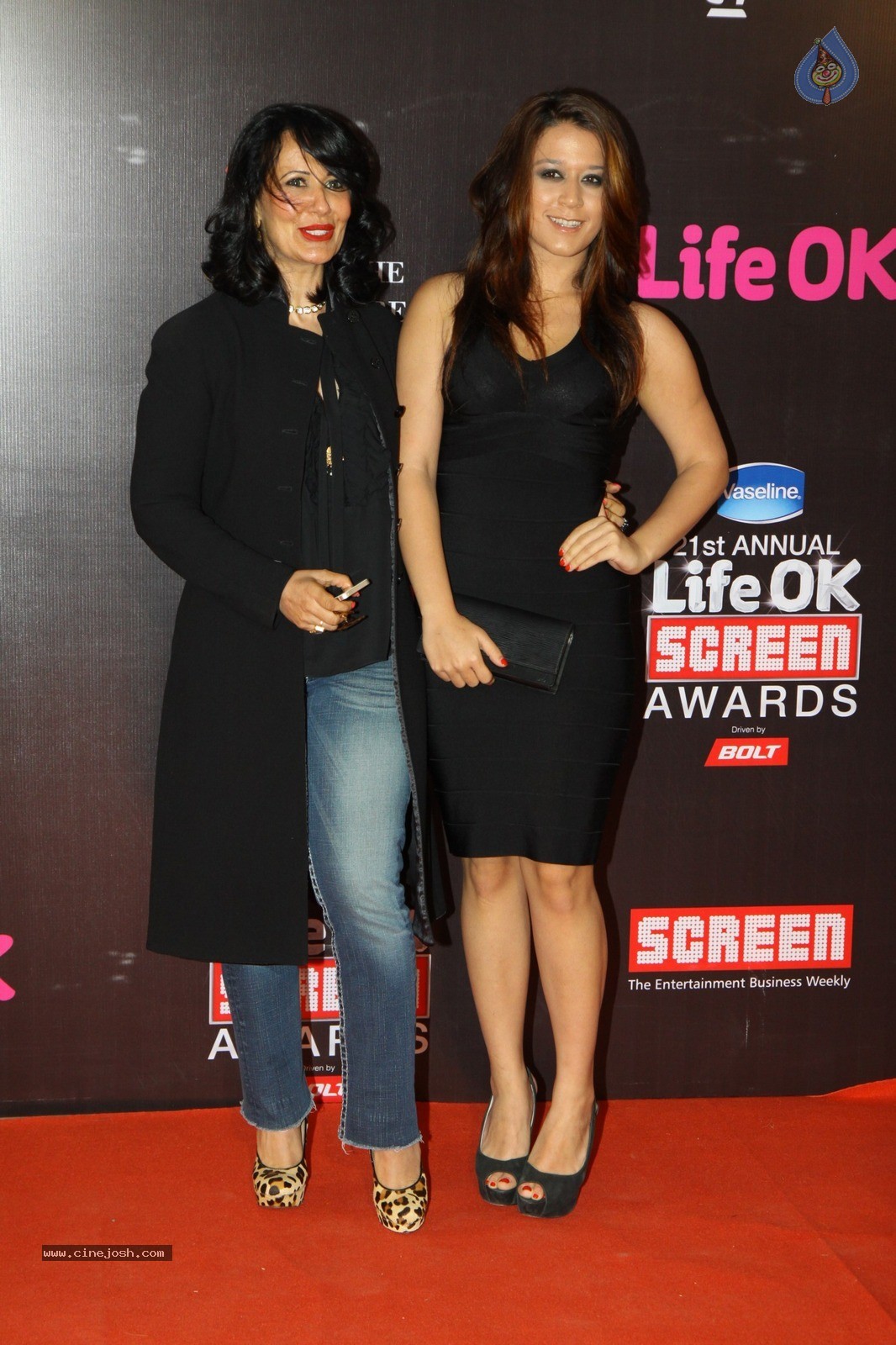 Bolly Celebs at 21st Life OK Screen Awards 01 - 76 / 78 photos