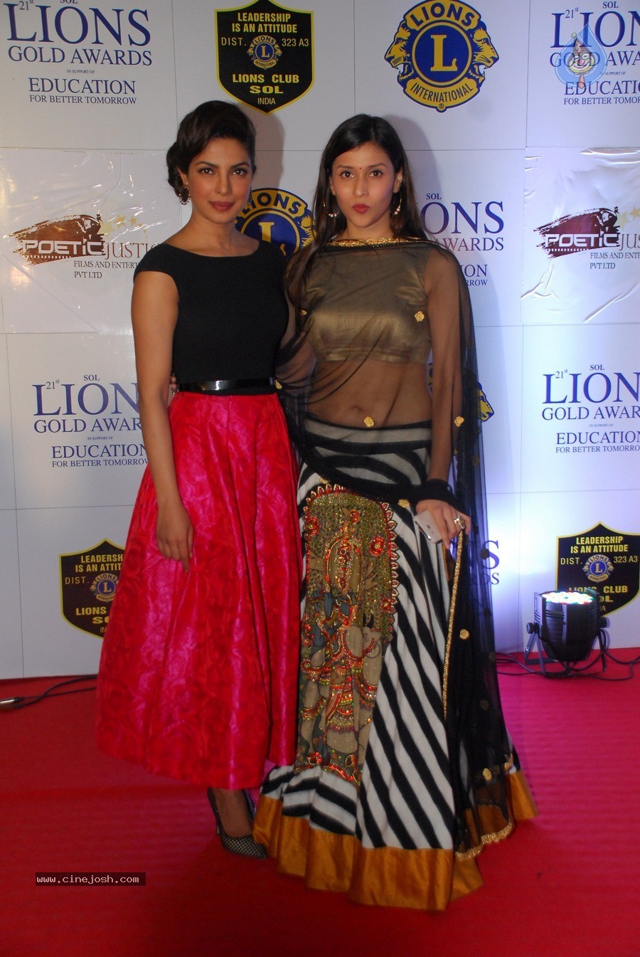 Bolly Celebs at 21st Lions Gold Awards 2015 - 27 / 67 photos