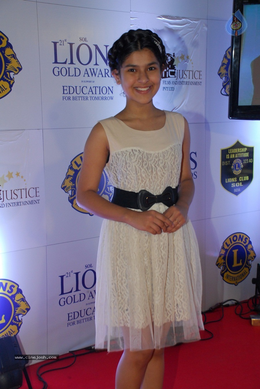 Bolly Celebs at 21st Lions Gold Awards 2015 - 28 / 67 photos