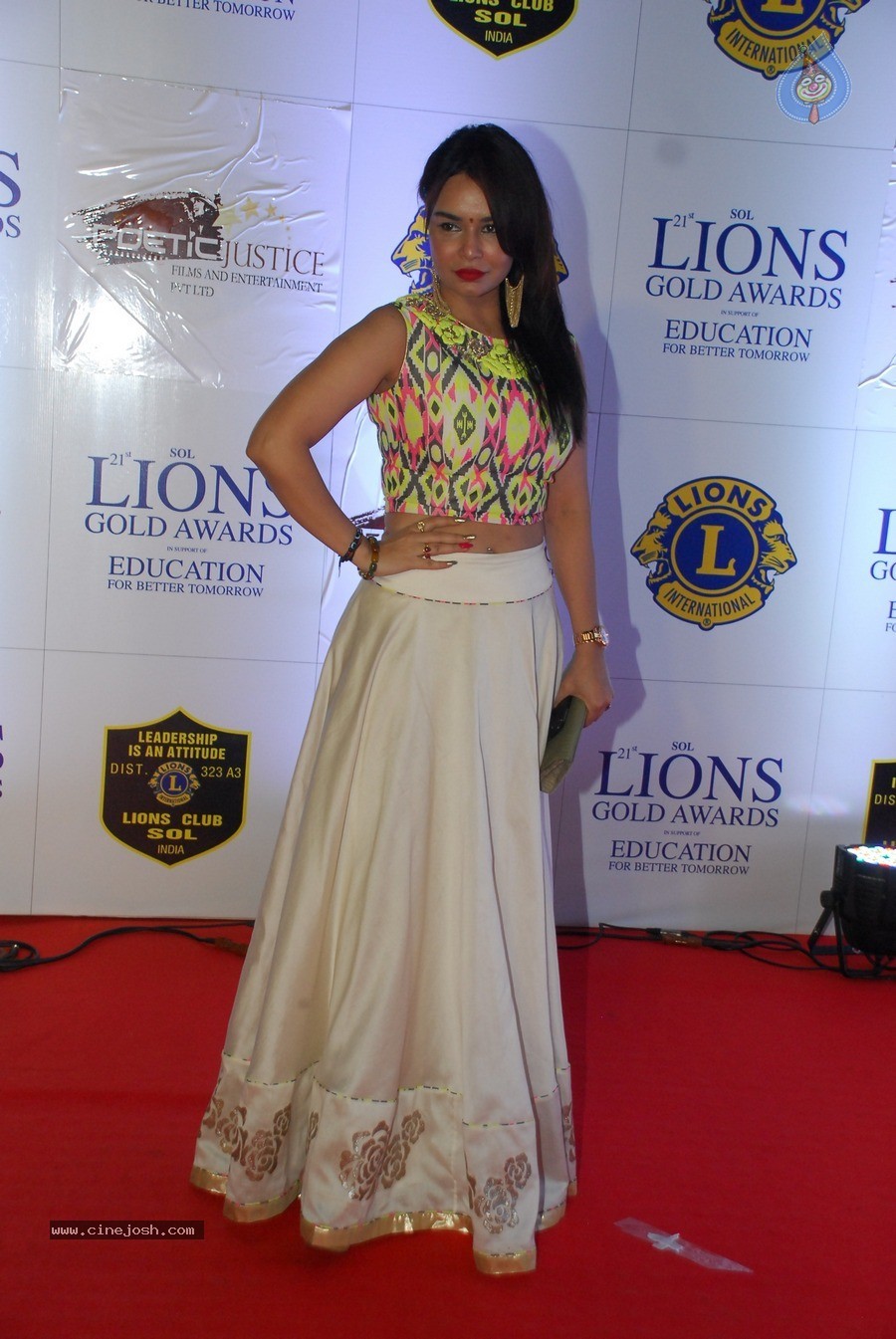 Bolly Celebs at 21st Lions Gold Awards 2015 - 32 / 67 photos