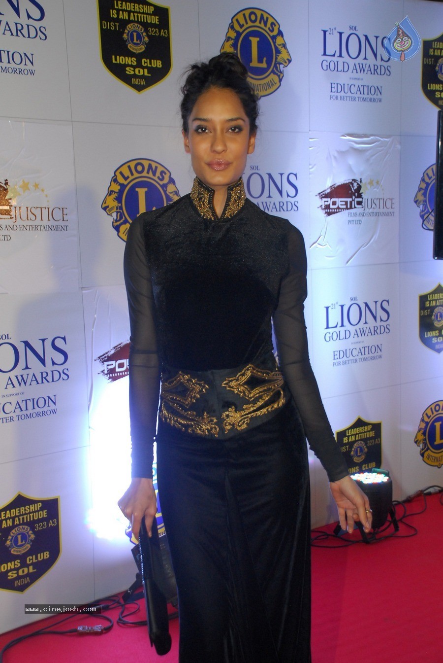 Bolly Celebs at 21st Lions Gold Awards 2015 - 38 / 67 photos