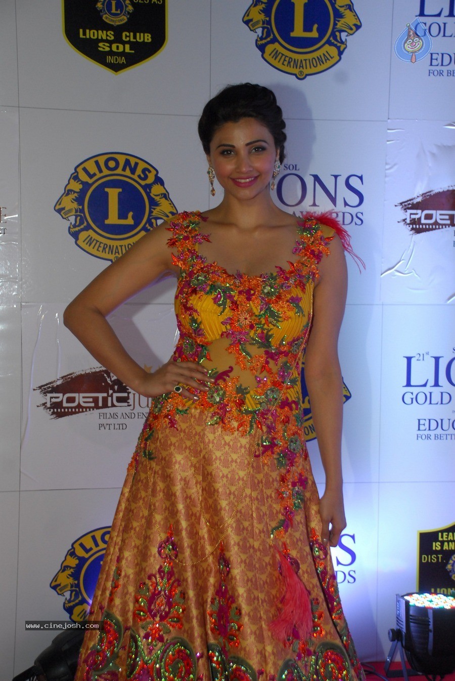 Bolly Celebs at 21st Lions Gold Awards 2015 - 39 / 67 photos