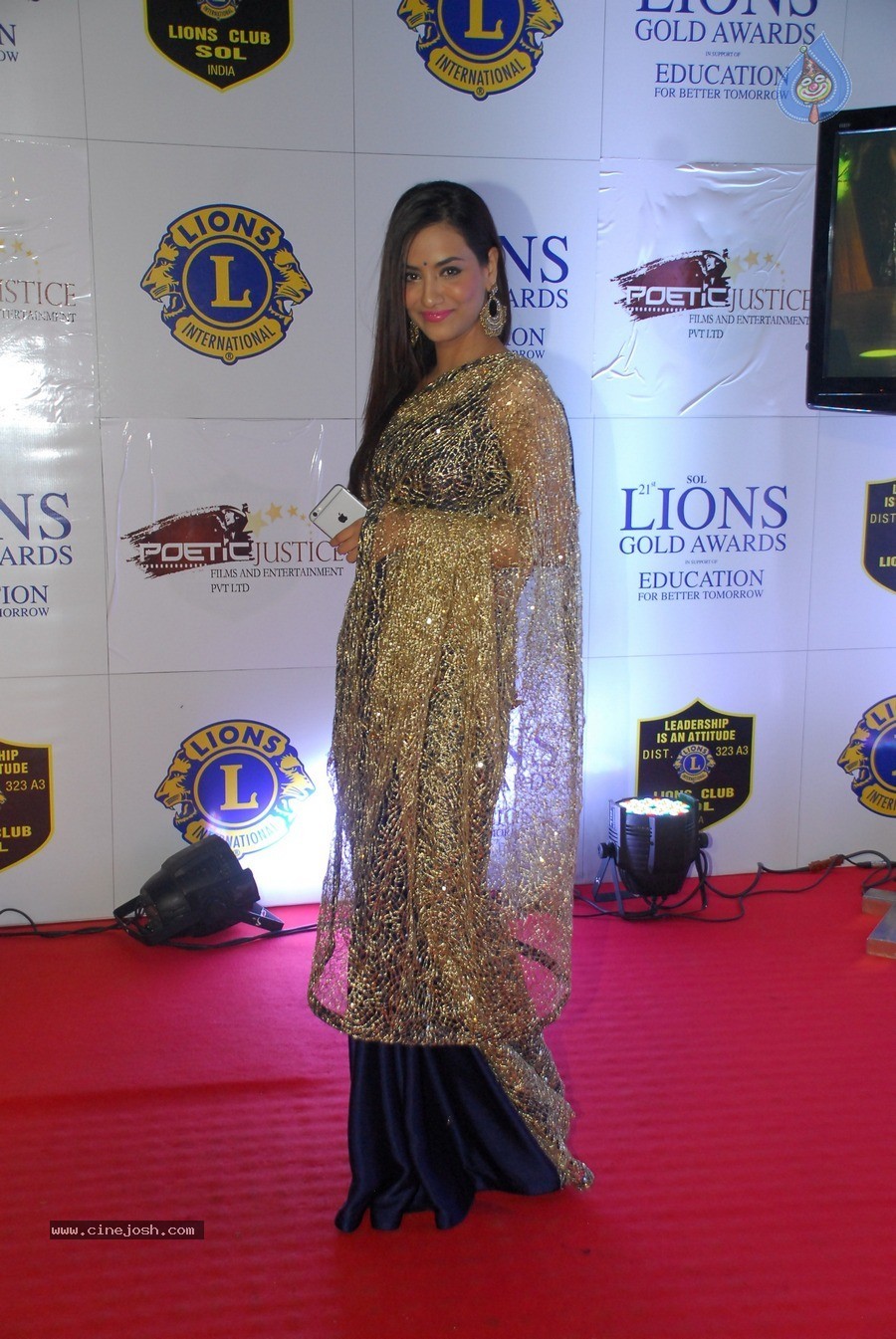 Bolly Celebs at 21st Lions Gold Awards 2015 - 40 / 67 photos