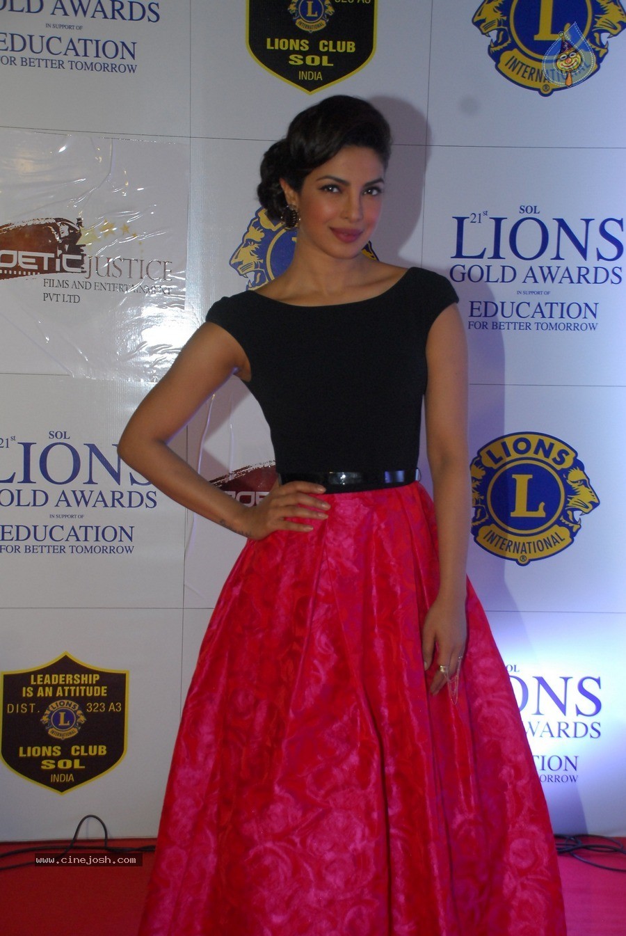 Bolly Celebs at 21st Lions Gold Awards 2015 - 45 / 67 photos
