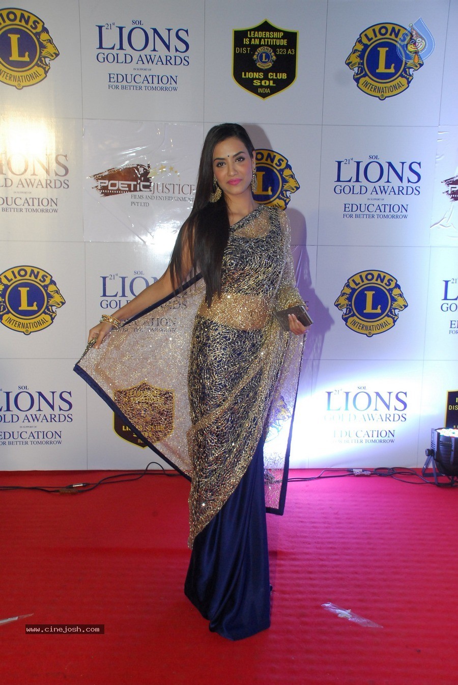 Bolly Celebs at 21st Lions Gold Awards 2015 - 57 / 67 photos
