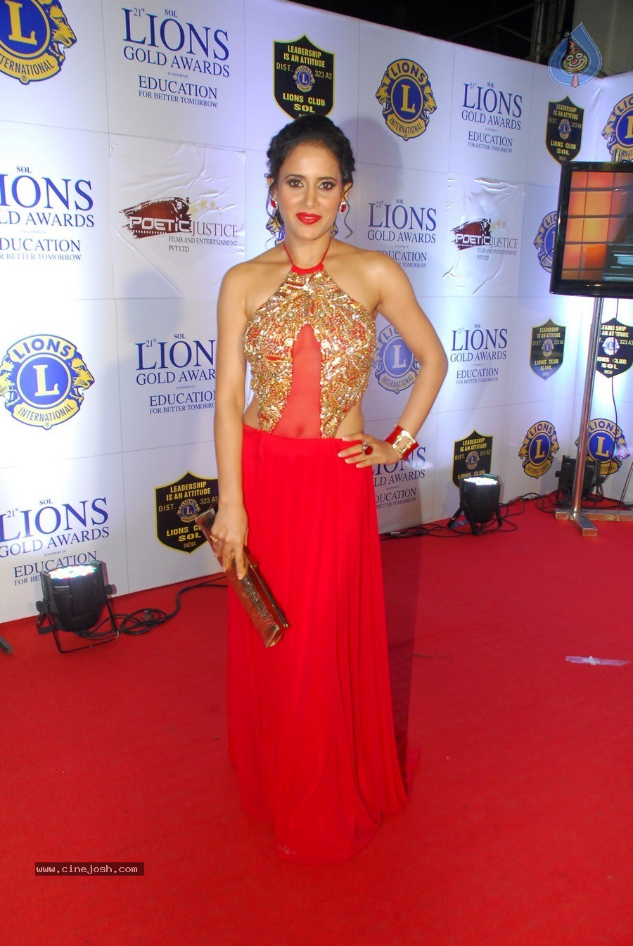 Bolly Celebs at 21st Lions Gold Awards 2015 - 61 / 67 photos