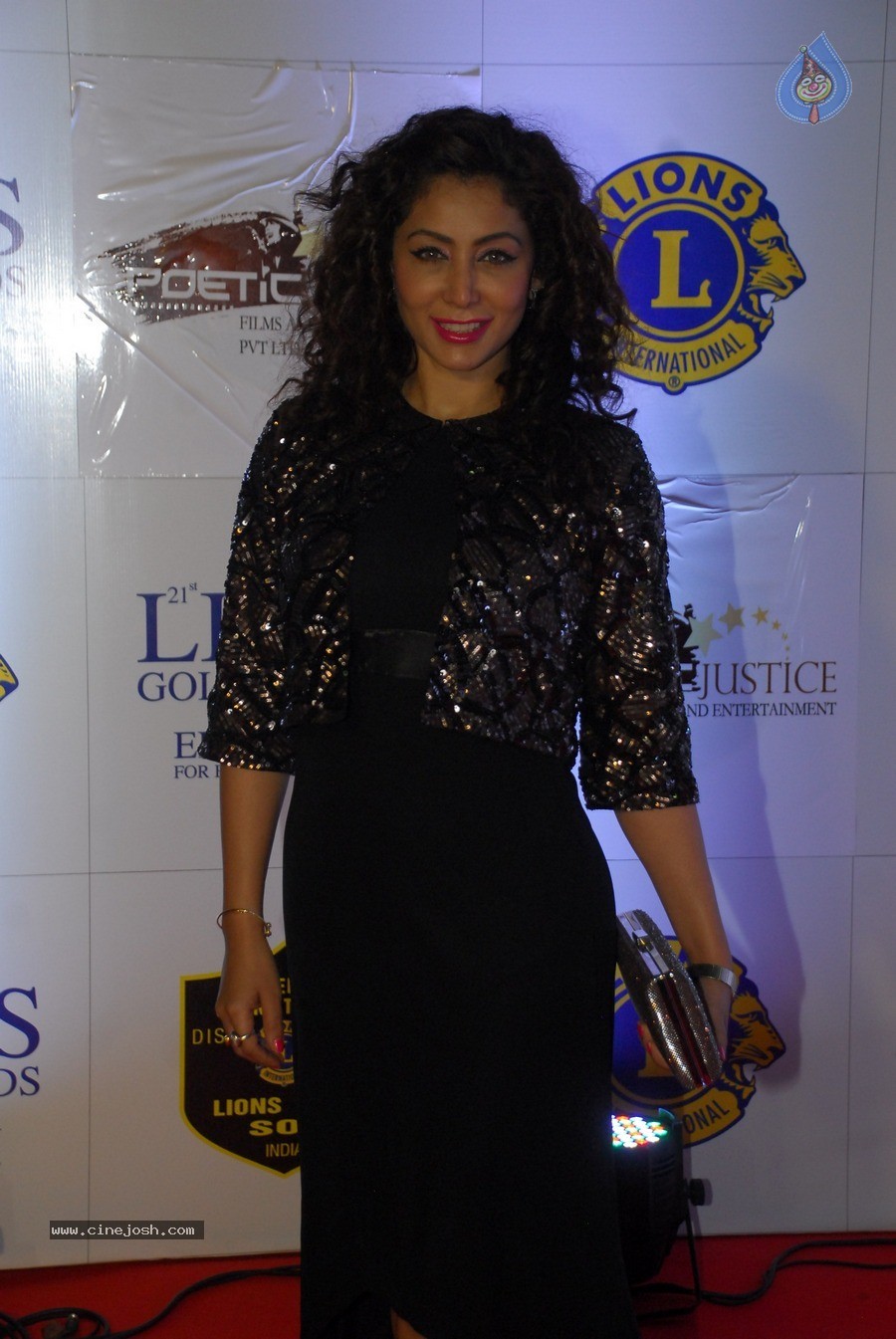 Bolly Celebs at 21st Lions Gold Awards 2015 - 63 / 67 photos