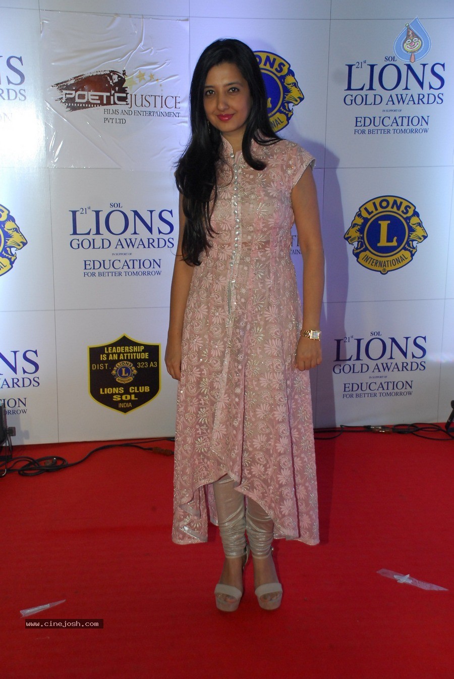 Bolly Celebs at 21st Lions Gold Awards 2015 - 66 / 67 photos
