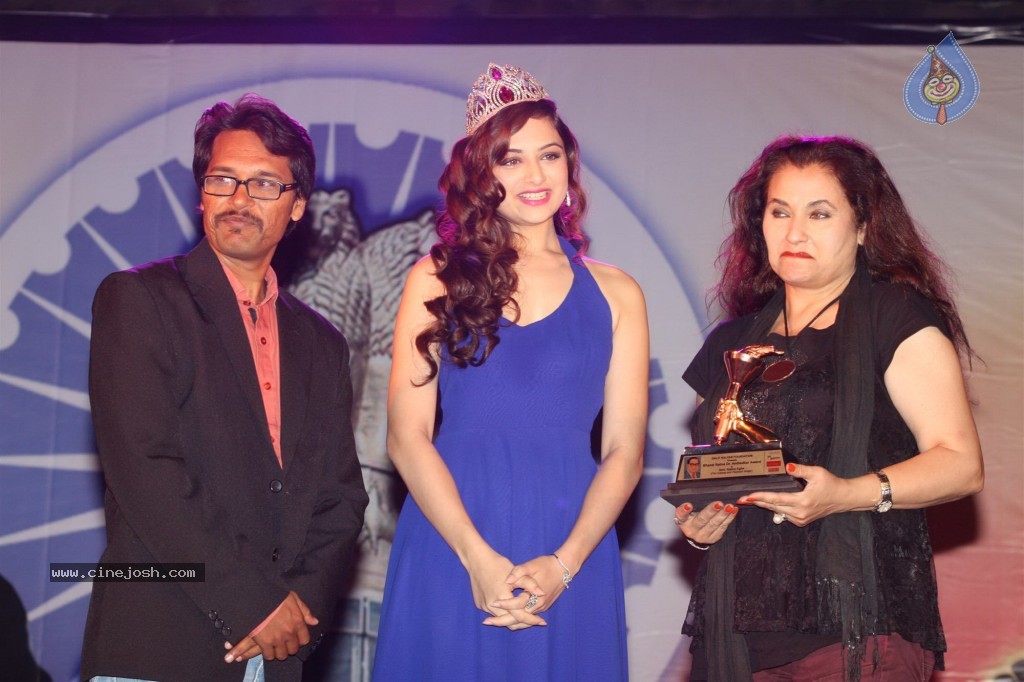 Bolly Celebs at Ambedkar Awards 2013 - 15 / 62 photos