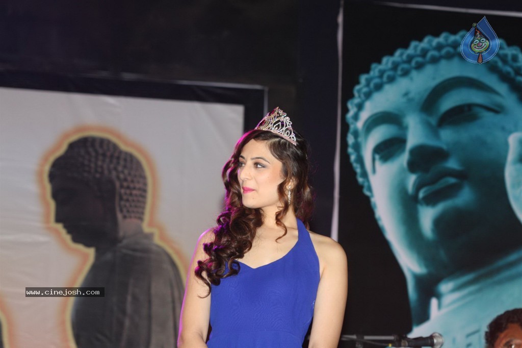 Bolly Celebs at Ambedkar Awards 2013 - 20 / 62 photos