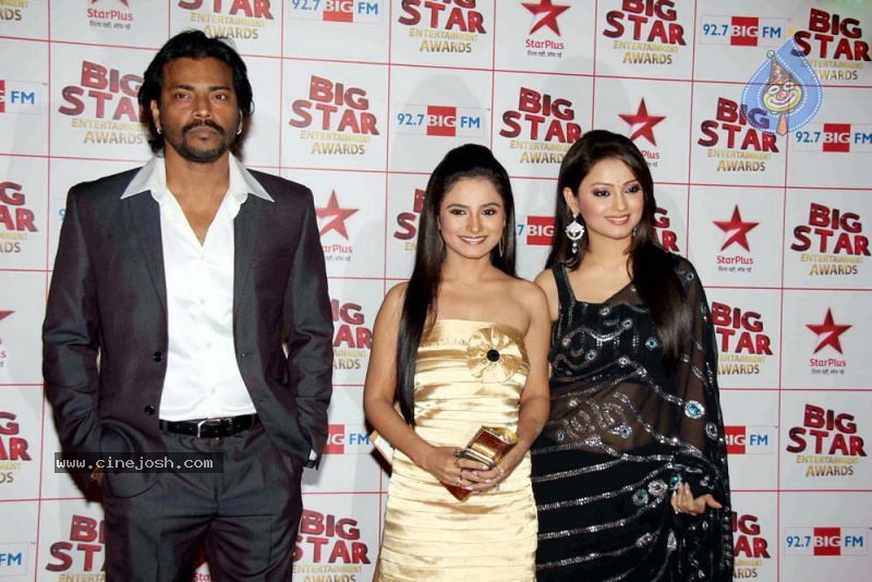 Bolly Celebs at BIG STAR Entertainment Awards - 73 / 79 photos