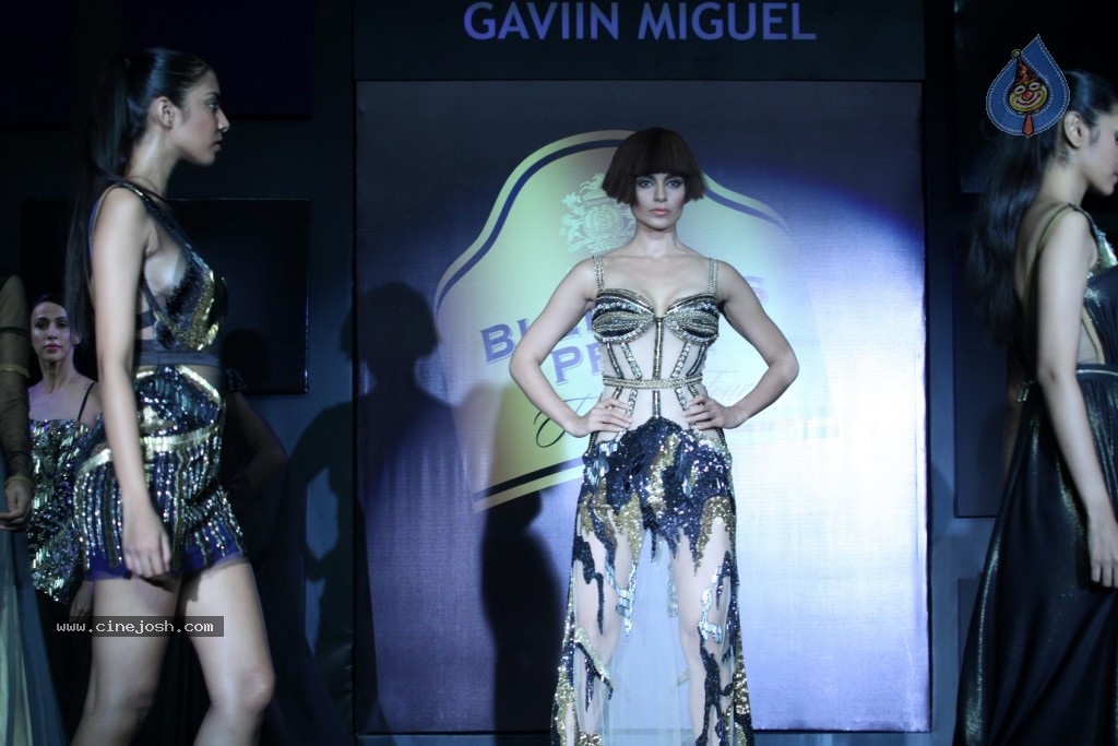 Bolly Celebs at Blenders Pride Fashion Tour 2013 - 62 / 107 photos