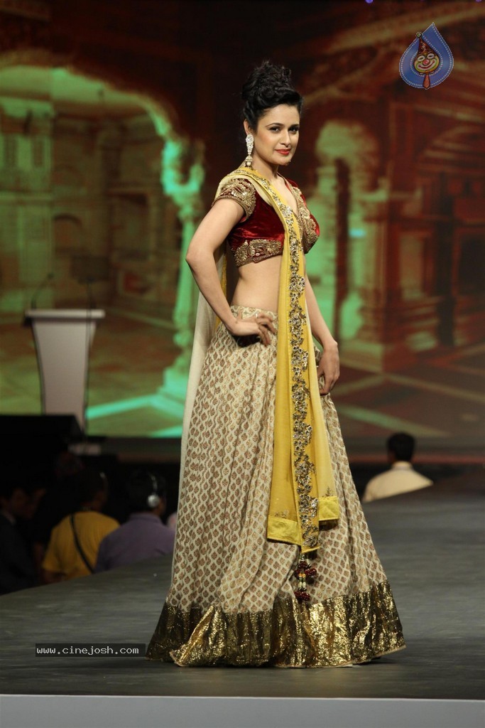 Bolly Celebs at Caring with Style Fashion Show - 108 / 136 photos