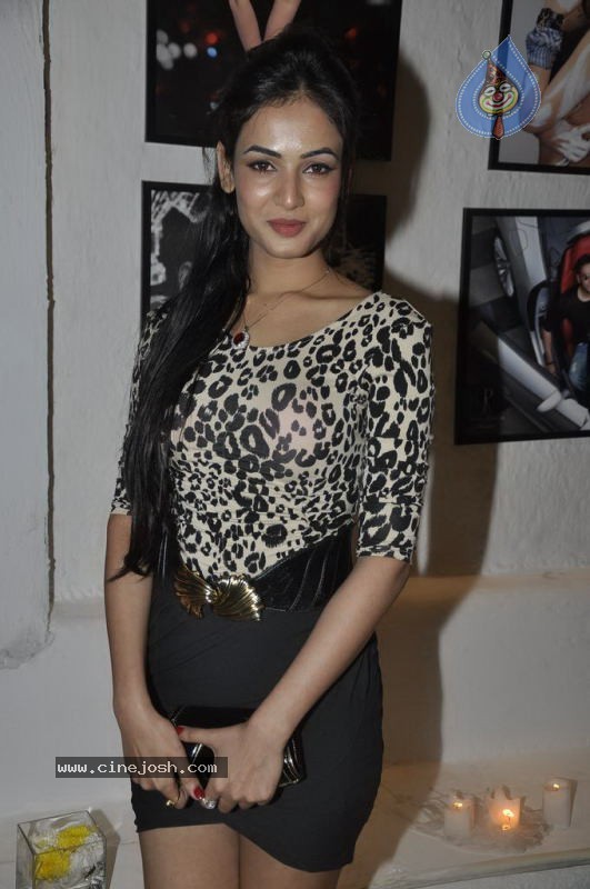 Bolly Celebs at Dabboo Ratnani Calendar Launch - 103 / 123 photos