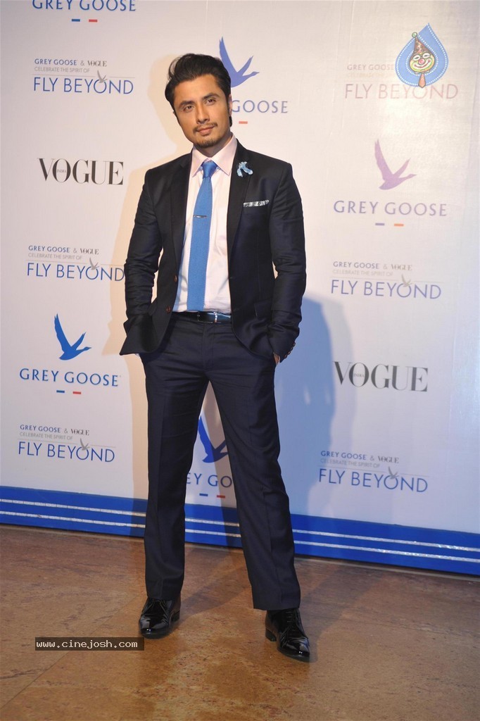 Bolly Celebs at Grey Goose Fly Beyond Awards 2014 - 88 / 152 photos