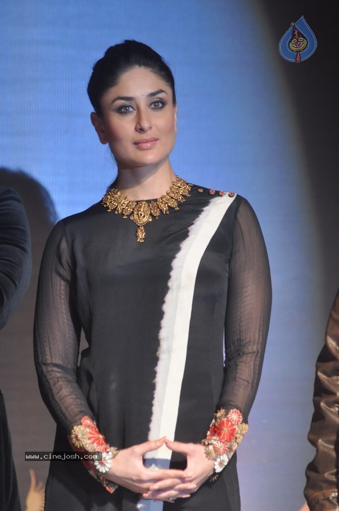 Bolly Celebs at IIFA 2014 Press Meet - 88 / 117 photos