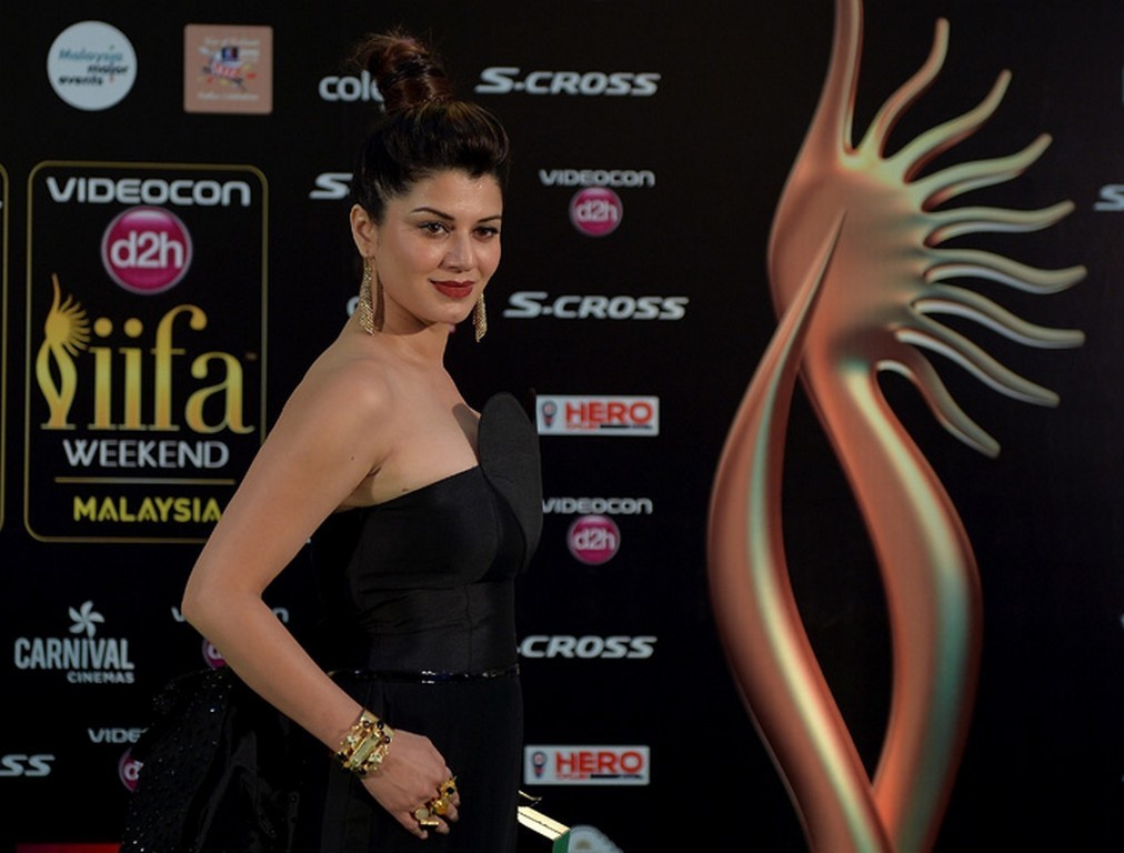Bolly Celebs at IIFA Awards 2015 - 34 / 49 photos
