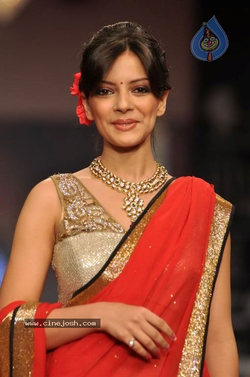 Bolly Celebs at IIJW 2012 Day 1 - 67 / 143 photos