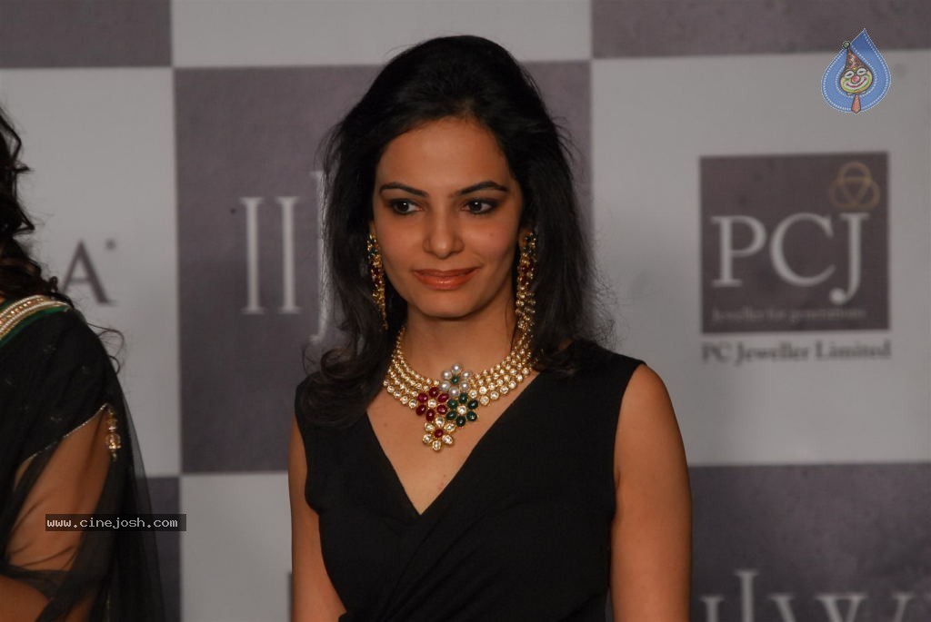 Bolly Celebs at IIJW 2012 Show - 38 / 247 photos