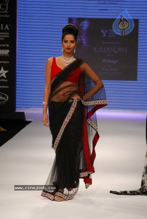 Bolly Celebs at IIJW 2012 Show - 85 / 247 photos