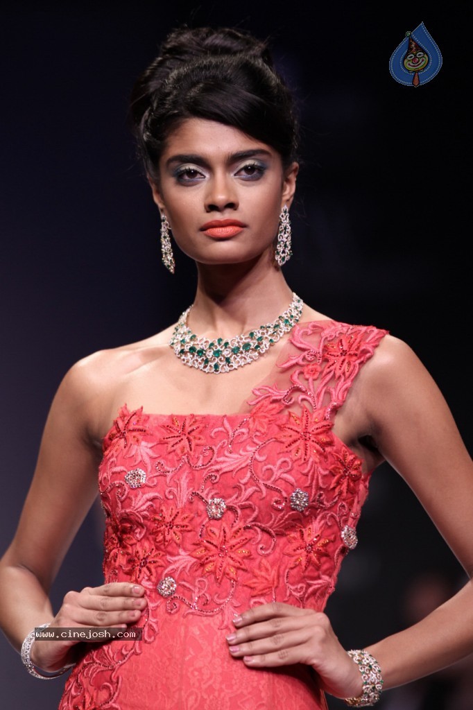 Bolly Celebs at IIJW Delhi 2013 Event - 31 / 54 photos