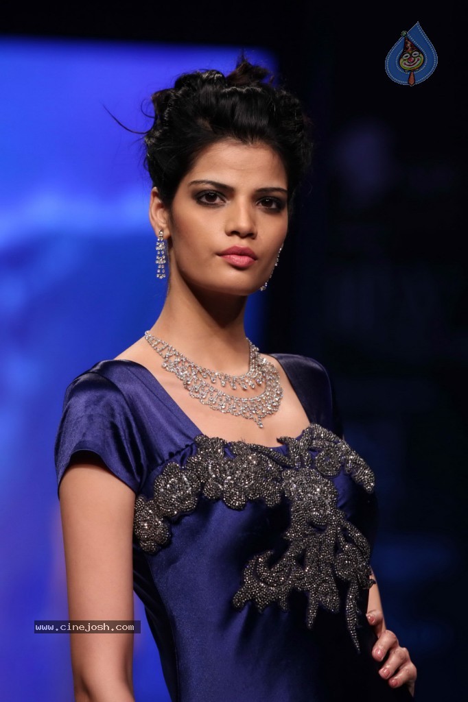 Bolly Celebs at IIJW Delhi 2013 Event - 33 / 54 photos