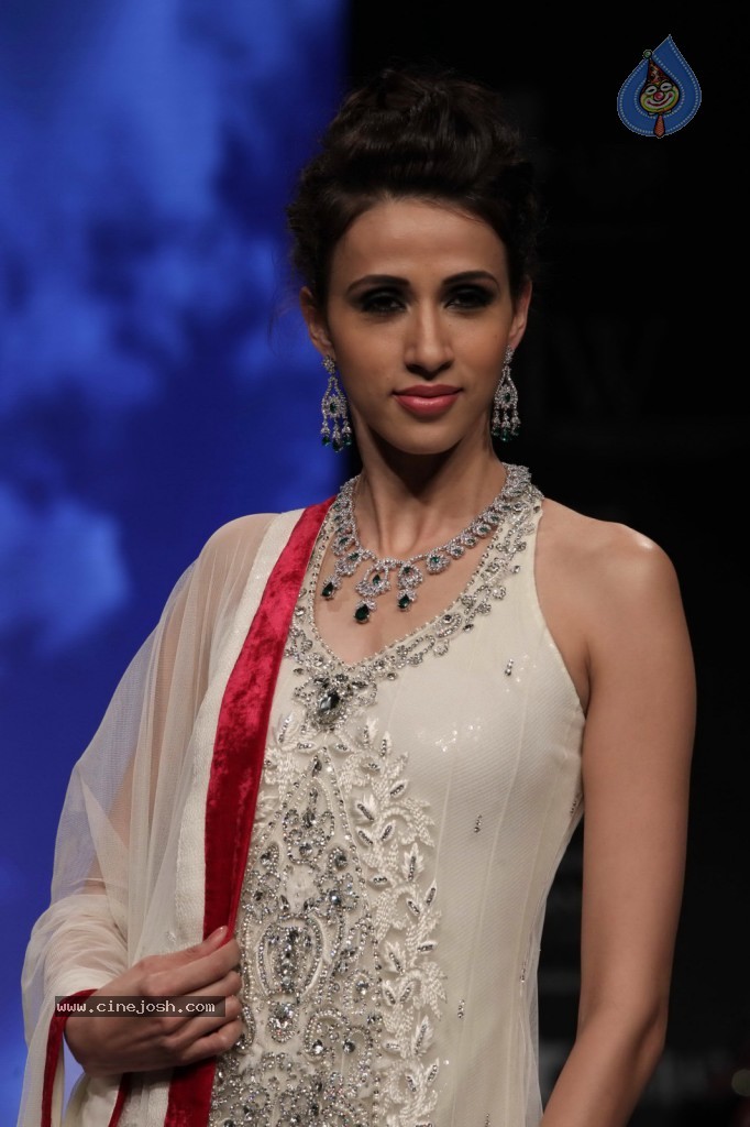 Bolly Celebs at IIJW Delhi 2013 Event - 36 / 54 photos