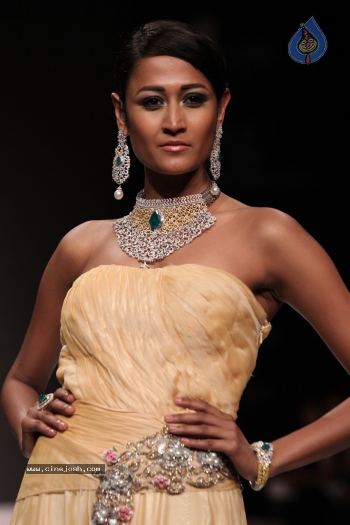 Bolly Celebs at IIJW Delhi 2013 Event - 39 / 54 photos