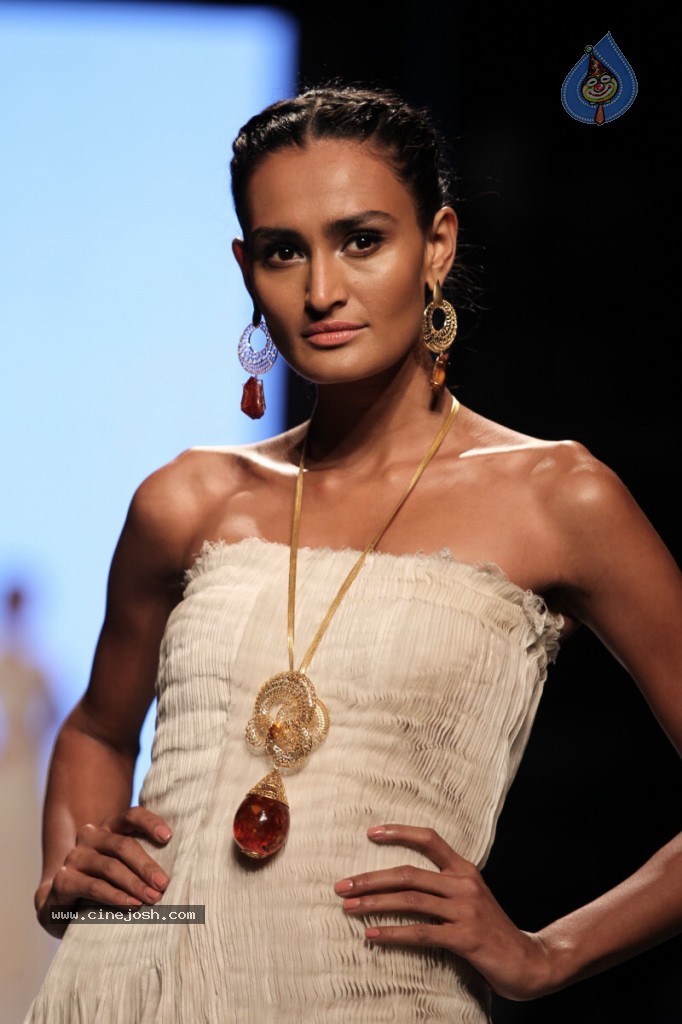 Bolly Celebs at IIJW Delhi 2013 Event - 53 / 54 photos