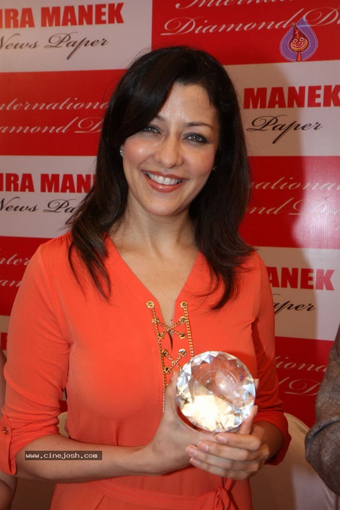 Bolly Celebrities at International Diamond Day Celebrations - 30 / 55 photos