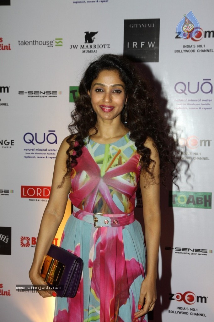 Bolly Celebs at IRFW 2013 Day 3 - 35 / 41 photos