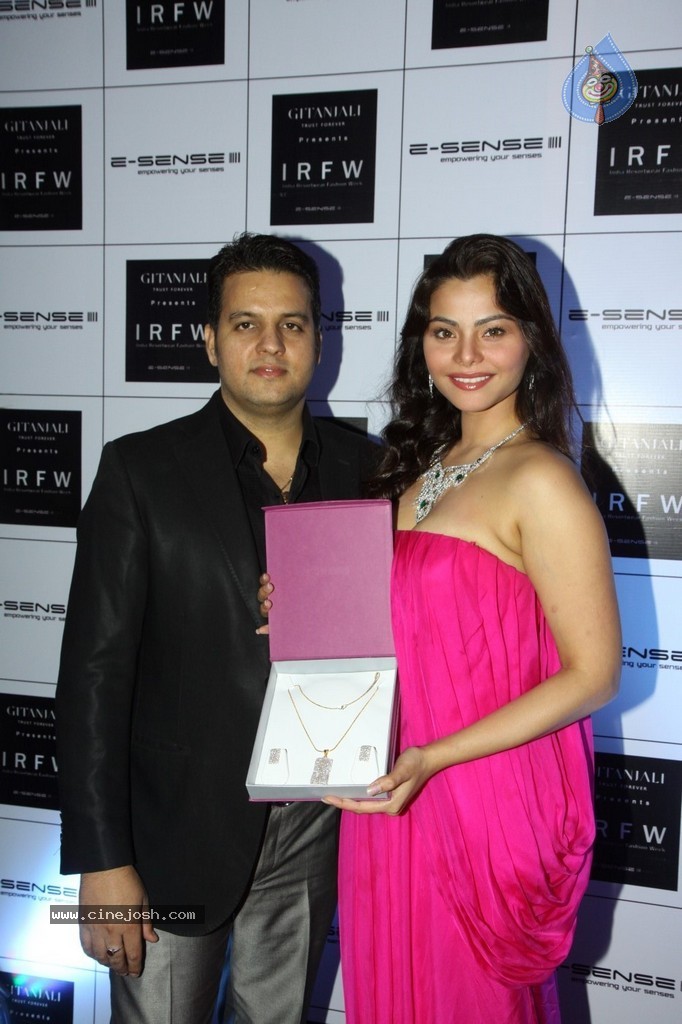 Bolly Celebs at IRFW 2013 Day 3 - 36 / 41 photos