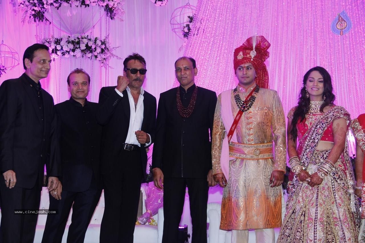 Bolly Celebs at Karishma Jain Wedding Reception - 7 / 46 photos