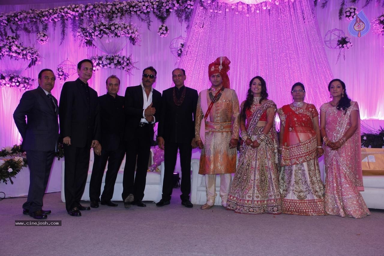Bolly Celebs at Karishma Jain Wedding Reception - 28 / 46 photos
