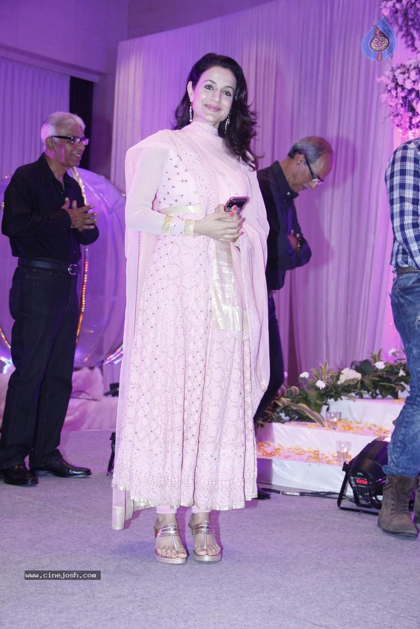 Bolly Celebs at Karishma Jain Wedding Reception - 39 / 46 photos