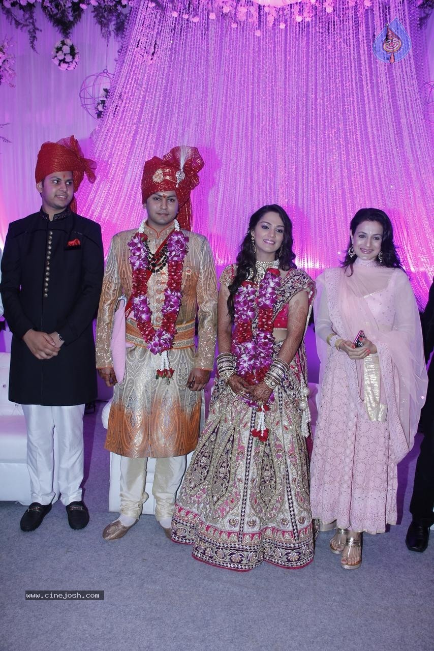 Bolly Celebs at Karishma Jain Wedding Reception - 40 / 46 photos