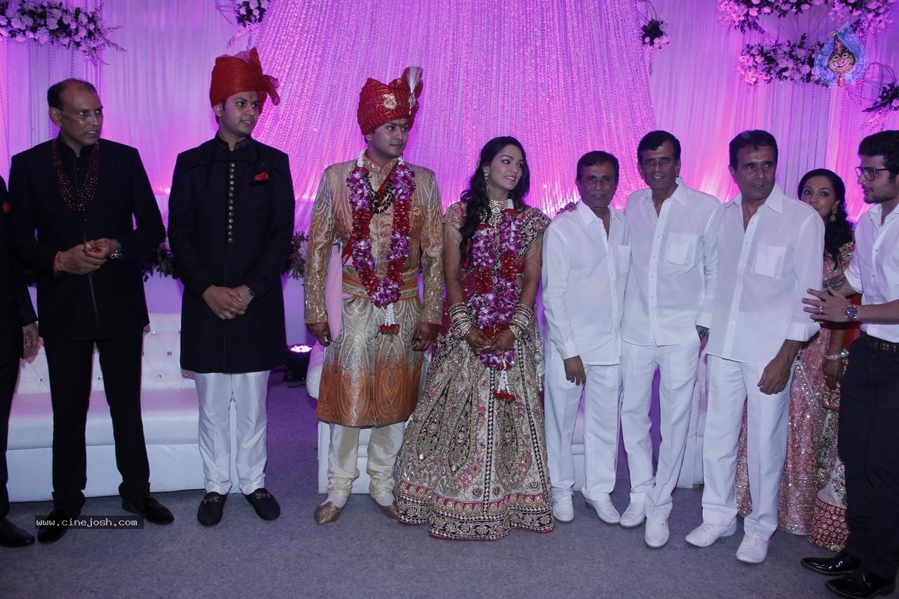 Bolly Celebs at Karishma Jain Wedding Reception - 43 / 46 photos