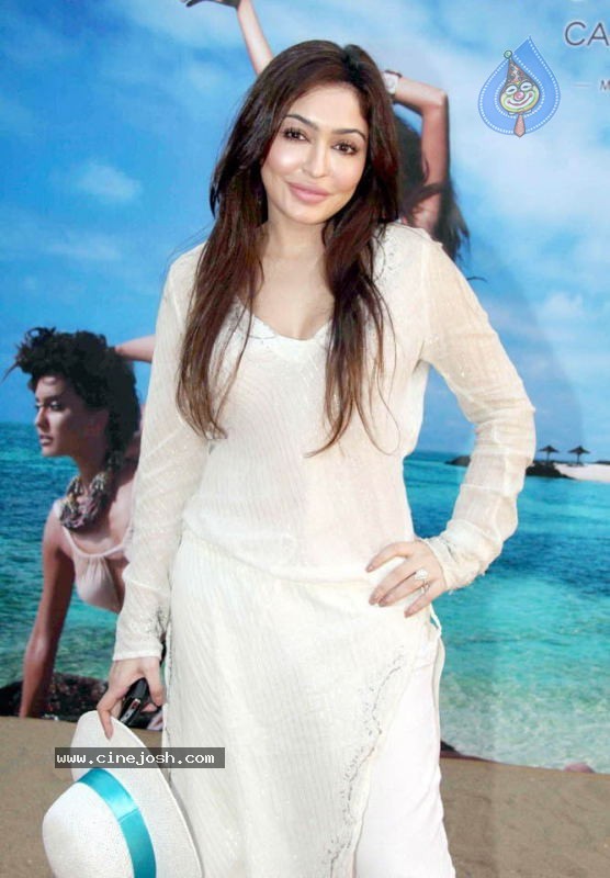 Bolly Celebs at Kingfisher Calendar 2011 Launch - 21 / 57 photos