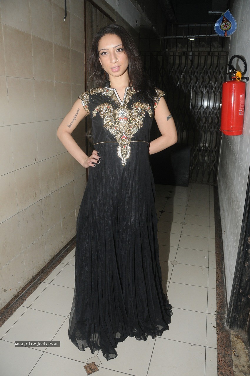 Bolly Celebs at KRK Bday Bash - 28 / 30 photos