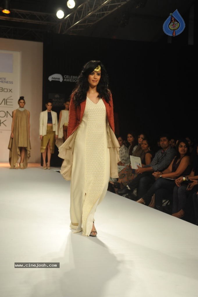 Bolly Celebs at LFW 2013 Winter Festive - 01 - 59 / 111 photos