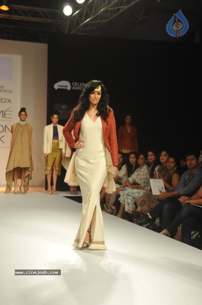 Bolly Celebs at LFW 2013 Winter Festive - 01 - 99 / 111 photos
