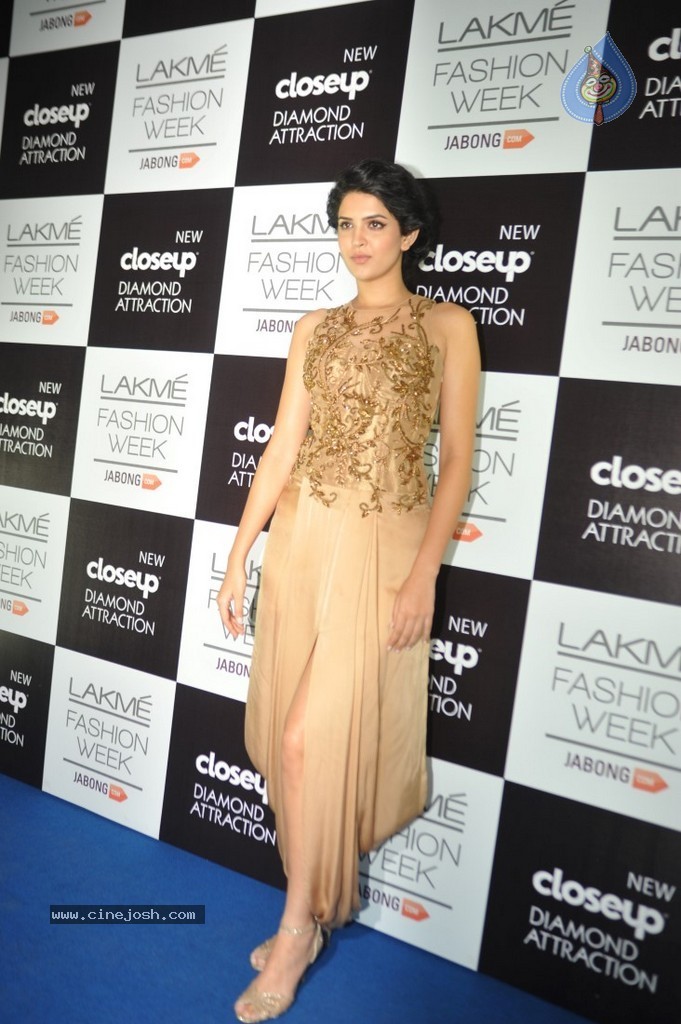 Bolly Celebs at LFW Winter Festive 2014 Grand Finale - 63 / 67 photos