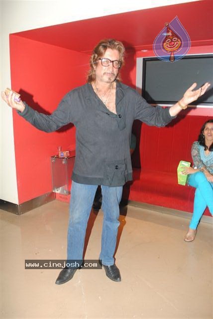 Bolly Celebs at Mr. Singh Mrs. Mehta Movie Premiere - 29 / 46 photos