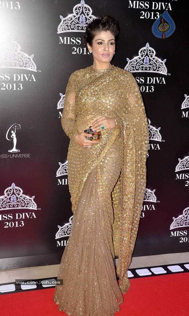 Bolly Celebs at On Red Carpet of Miss Diva 2013 - 6 / 22 photos