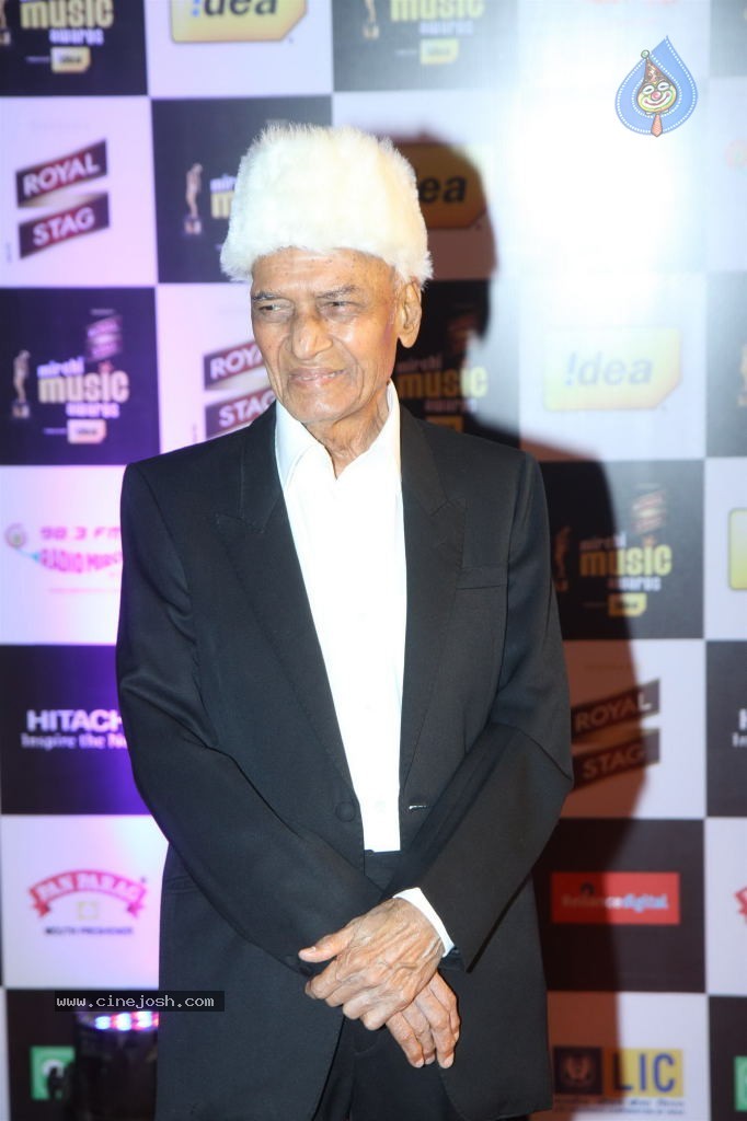 Bolly Celebs at Radio Mirchi Music Awards 2014 - 18 / 58 photos