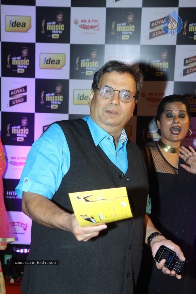 Bolly Celebs at Radio Mirchi Music Awards 2014 - 19 / 58 photos